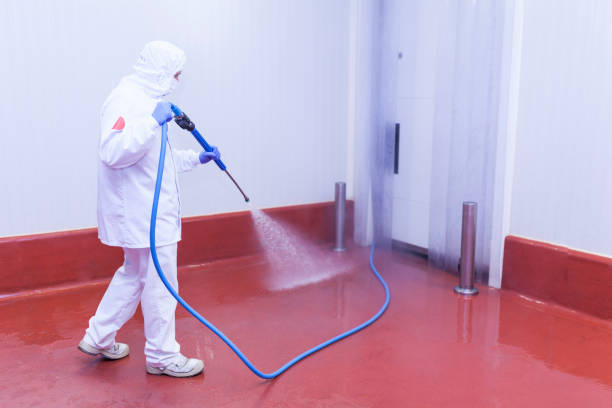 Best Warehouse Cleaning  in St Helena, CA